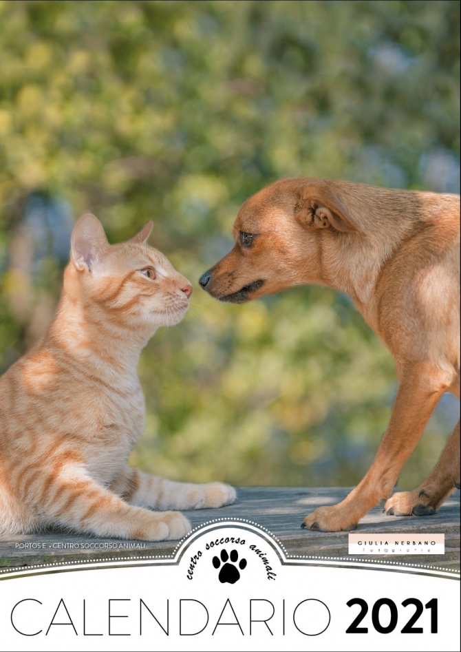 Calendario CSA 2021 - Centro  Soccorso  Animali